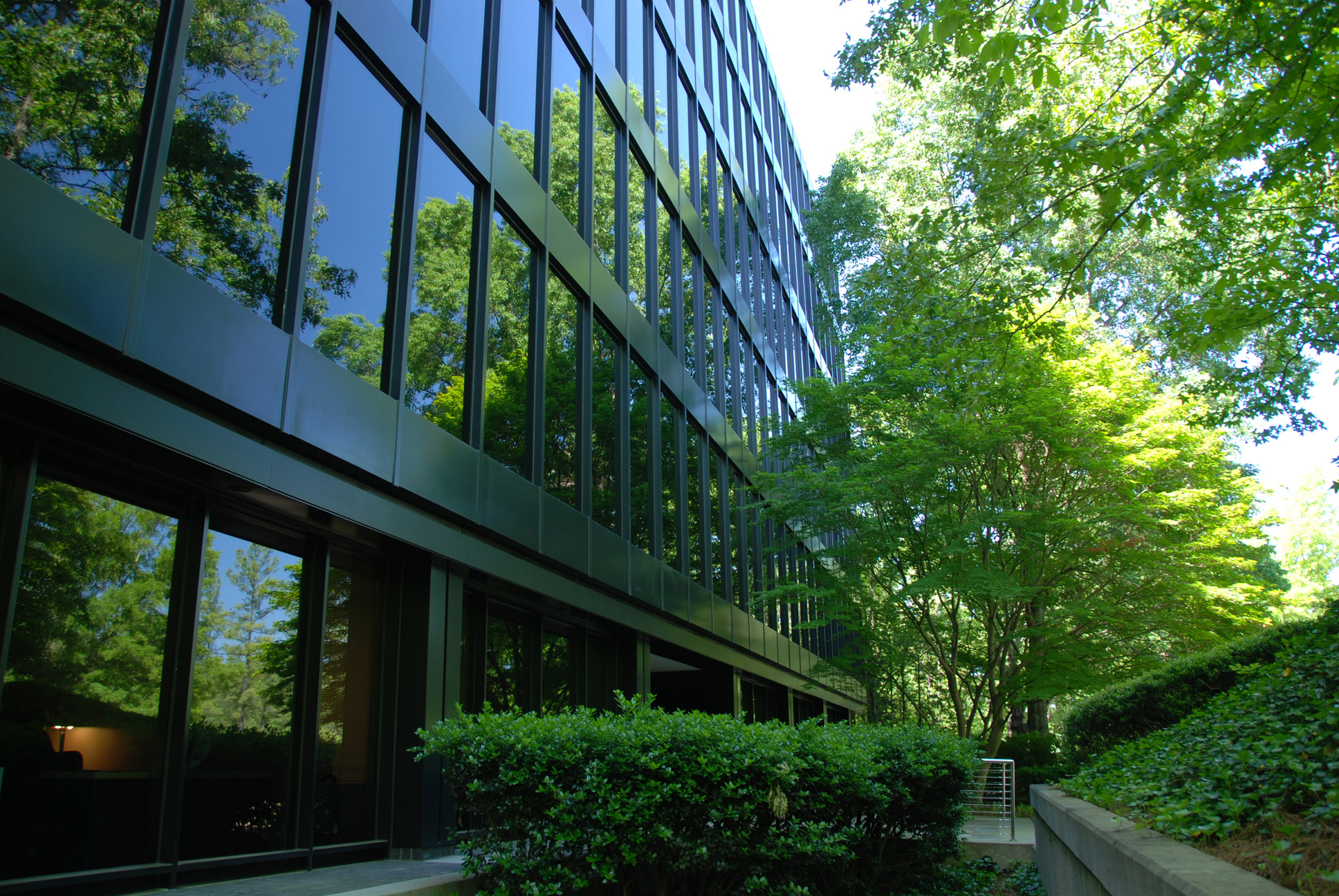 Hubbard Systems' office complex